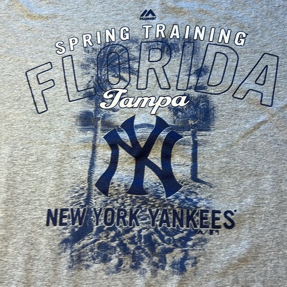 Spring Training NYC Tampa Florida tee. XL - Picture 2 of 6